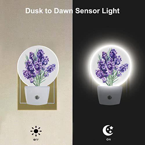 Image of EKOBLA Lavender Bouquet Night Light, Purple Floral Night Lights Plug Into Wall with Dusk to Dawn Light Sensors, Warm Nightlights for Bedroom, Bathroom, Hallway, Kitchen