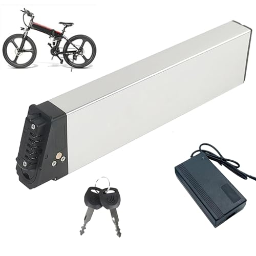 Batterie pour vélo électrique pliable 36V et 48V avec chargeur