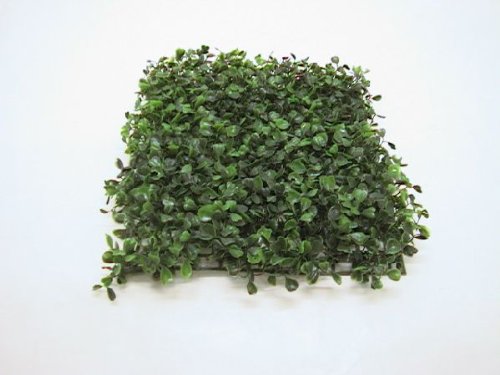 Bellaflor Buchsmatte grün Größe 25x25 cm