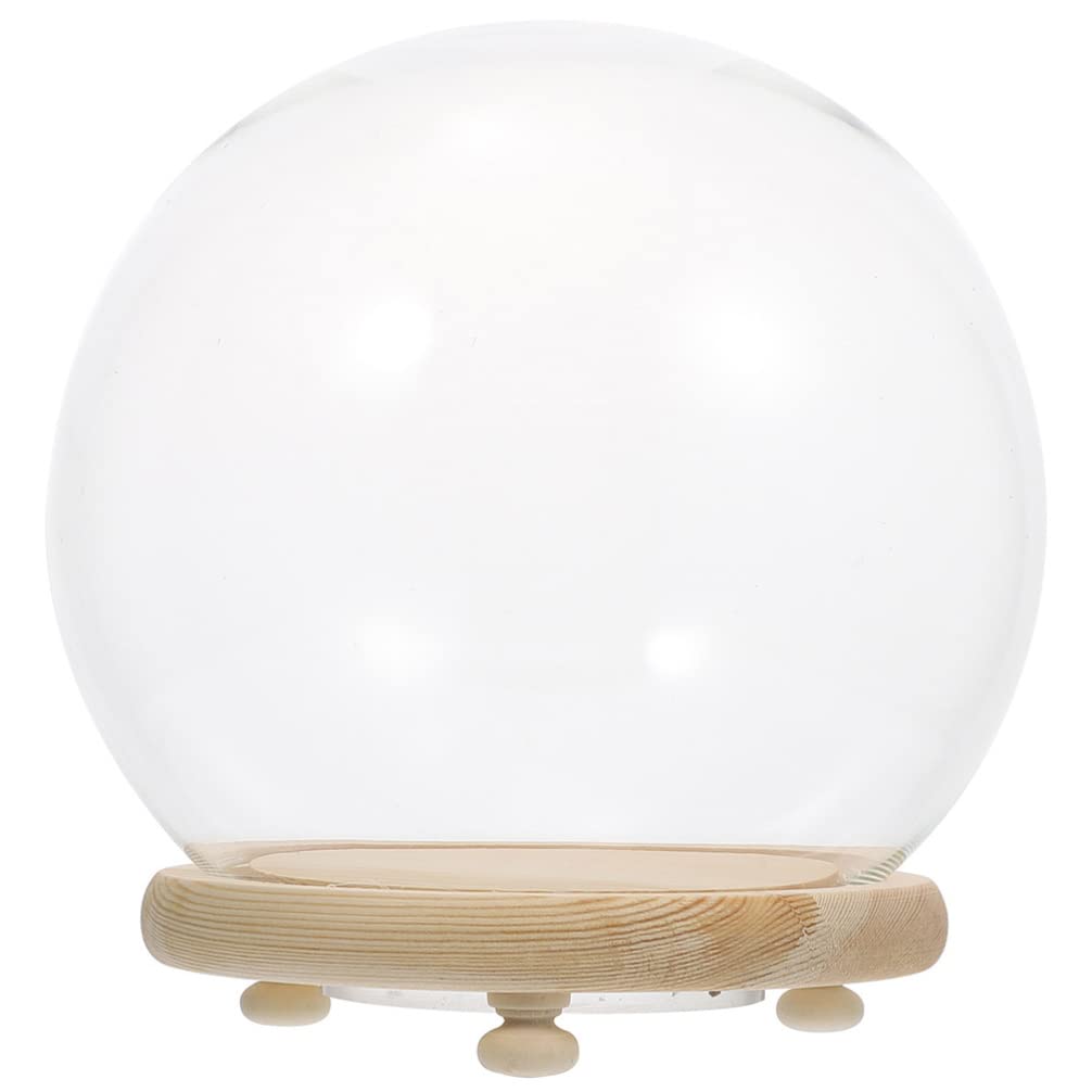 Cloche en verre pour terrarium et plante succulente lumineuse