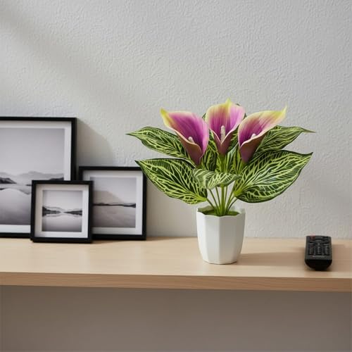 Image of fancymart Artificial Calla Lily Plant with Pot - 30 cm Height Decorative Flower Leaves (Pack of 1) | Realistic Faux Plant for Home & Office Decor | Table, Shelf & Desk Decoration