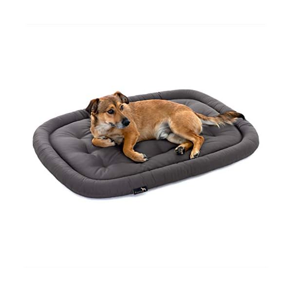 Pointer | Orthopädisches Hundekissen Mittelgroße Hunde, 90x60 cm - Hundebett Waschbar bis 95°C, Geruchsfrei, Robust, Indoor & Outdoor, Made in Germany (L - 90x60 cm, Anthrazit)