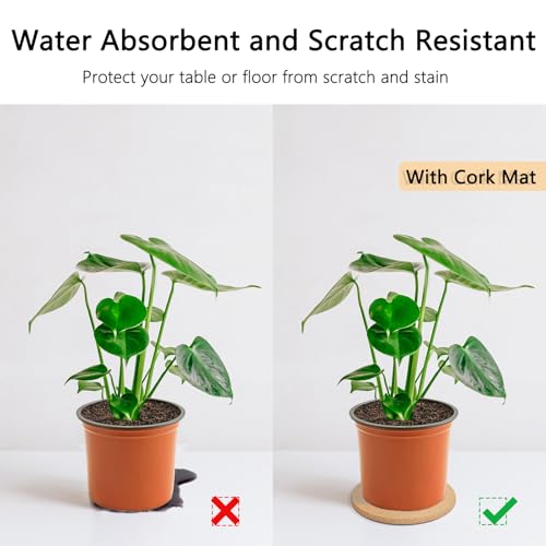 3 Sizes Cork Plant Coasters, 4/6/8 Inch Double Layers Thickened Cork Plant Mats, 10 Pcs Plant Coaster for House Plants - Image 5