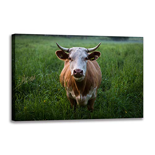 Toile portrait de vache de pâturage 30 x 50 cm peinture artistique aux détails soignés