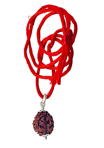 Image of Siddha 3 / Three Mukhi Pure Rudraksha from Nepal, Laboratory Certified.
