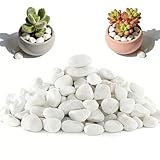 Esforzarse Pebbles Natural Stone, 1.7 lbs White River Rocks,10-30mm Snow White River Rocks, Polished Pebbles Decorative Stones Aquarium Gravel River Rocks for Landscaping, Plant Rocks for Landscaping