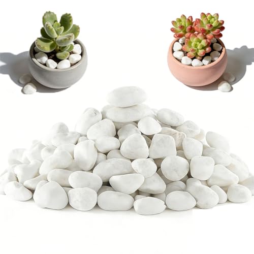 Pebbles Natural Stone, 1.7 lbs White River Rocks,10-30mm Snow White River Rocks, Polished Pebbles Decorative Stones Aquarium Gravel River Rocks for Landscaping, Plant Rocks for Landscaping