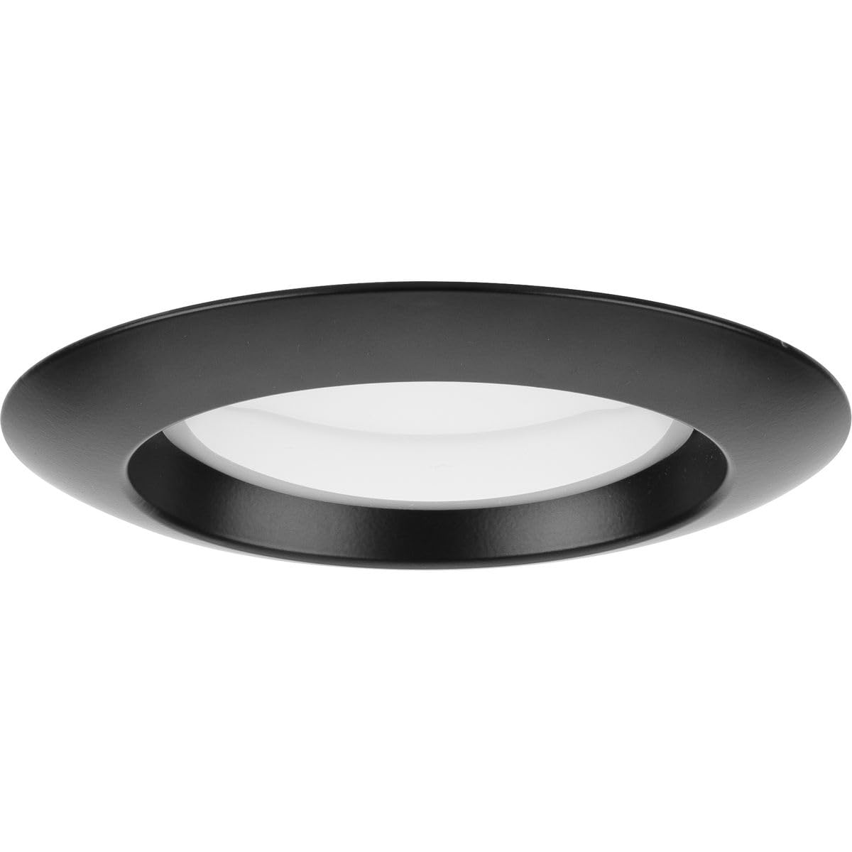 Progress Lighting Intrinsic Collection P800022-031-CS 4 in. Adjustable Eyeball