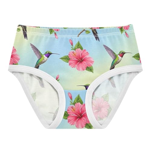 Girls Underwear Toddlers 2t Cotton Girl Panties Cute Cartoon Briefs Girls Undies Colorful Hummingbirds Pink Hibiscus