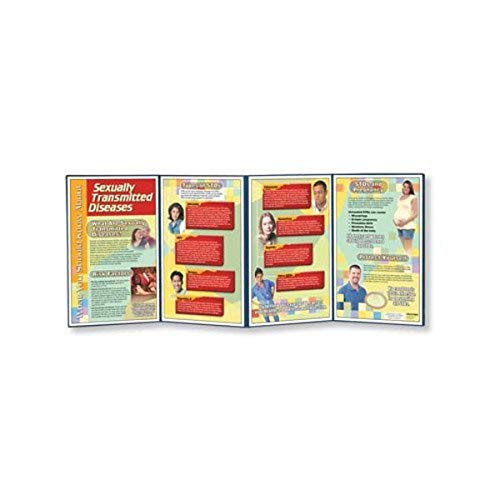 Image of HEALTH EDCO W43188 What You Should Know About STDs Folding Display, 58 inch Length x 22-1 /2 inch Height Opened