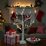 Snowtime White Christmas Twig Tree with Lights, 60cm/2ft Small Birch Twig Tree Lights, Battery Operated & Warm White 24 LEDs Birch Tree Light for Christmas Decorations Indoor Bedroom Home Wedding