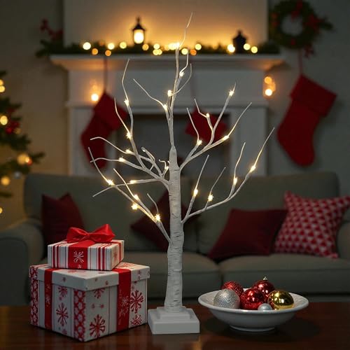 Snowtime White Christmas Twig Tree with Lights, 60cm/2ft Small Birch Twig Tree Lights, Battery Operated & Warm White 24 LEDs Birch Tree Light for Christmas Decorations Indoor Bedroom Home Wedding