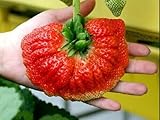 50 SEMI FRAGOLA GIGANTE PALMA, 50 SEMI, semi freschi