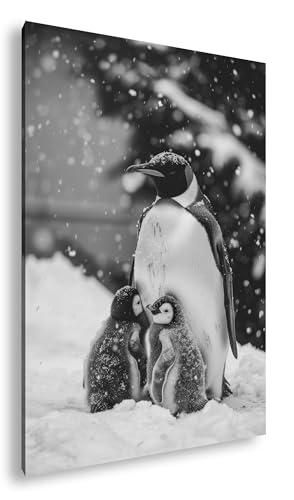 Tableau noir et blanc de parents pingouins avec poussins, cadre en bois 120x80cm