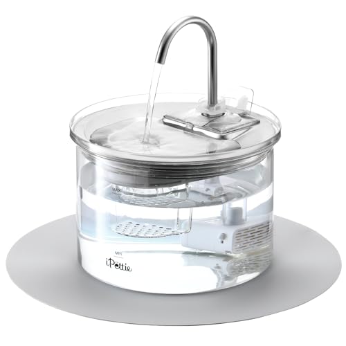 iPettie Fontana in vetro per gatti, con beccuccio per gattini, 2 l, con 2 testine di spruzzo, filtraggio a 3 fasi, distributore automatico di acqua, vetro e acciaio inossidabile