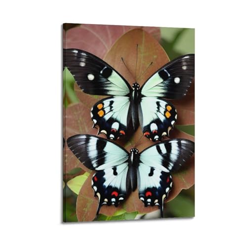 OKNGB Póster de insectos animales, mariposa fénix azul, cuadro decorativo sobre lienzo, 50 x 75 cm
