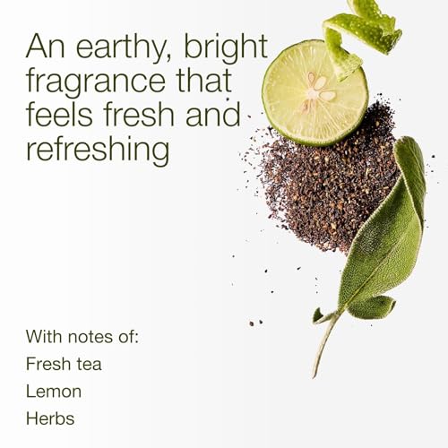 Bath & Body Works 3-Wick Candle, White Tea & Sage, Soy Wax Blend - image 3