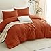 CozyLux Terracotta Queen Comforter Set, 3 Pieces Burnt Orange Rust Solid Breathable Quilted Bedding Sets, Luxury Fluffy Soft Bed Set with Down Alternative Comforter and 2 Pillowcases for All Season