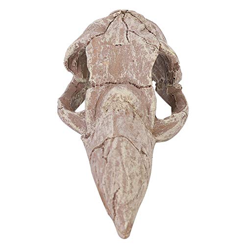 Piattaforma Tartaruga, Simulazione Resina