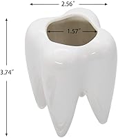 Vista 4 de YOFIT - Macetas con forma de dientes de estilo moderno, maceta de cerámica para regalos dentales, maceta de bonsái de suculenta y cactus blanca