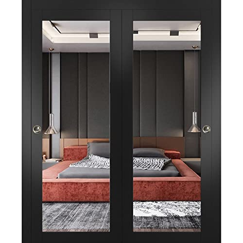 SARTODOORS Sliding Closet Bypass Doors 60 x 80 inches | Lucia 1299 ...