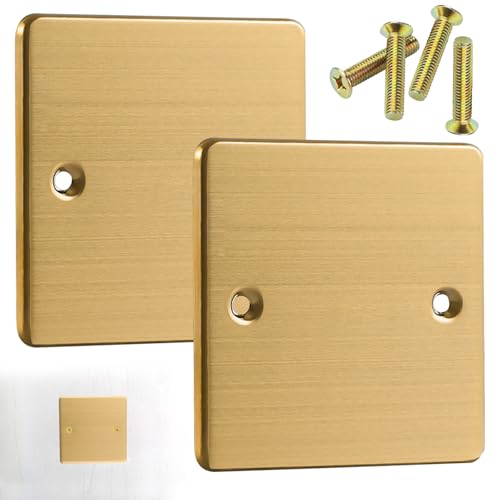 KIPTVO 2PCS Single Blanking Socket Plate, for Electrical Sockets Hidden Screw Hole Square Edge Antique Brass, for Electrical Socket Plug Socket Cover Exposed outlets DIY