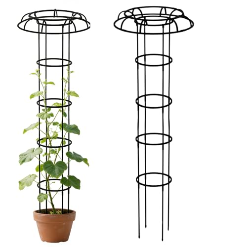 ���|�p�̂鐫�A�������R�ɗ��݂��g�����X�A��A���p�̊i�q�I�A�N���C�~���O�v�����c�p�T�|�[�g,�P�^�f�U�C���̌i�ώ��� - ���A���A���x�� ��p�g�����X - ��ԃG���h�E�����g�}�g�N���}�`�X���Ӄo���R�j�[����Ή�