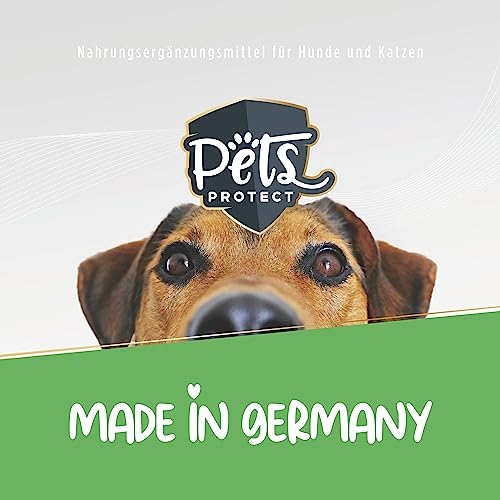 Pets Protect 5kg GEMÜSE-Mix für Hunde & Katzen | 100% natürliche Gemüse-Flocken aus Deutscher Herstellung | Barf-Zusatz Hund | Getreidefrei | Ohne künstliche Zusätze | Für Allergiker