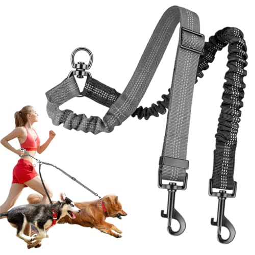 Doppelleine für 2 Hunde, Verwicklungsfrei, Um 360° Drehbar Hundeleine für 2 Hunde, Verstellbar, Stoßdämpfend, Reflektierend für Kleine, Mittlere und Große Hunde für Sicheres Gassi Gehen und Training