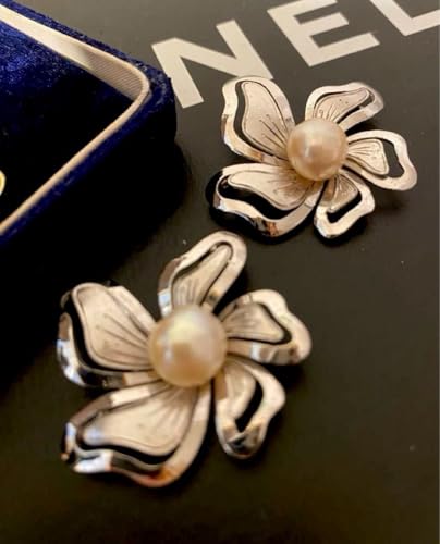 {^&SILVER2̃JAt[VINTEuhu[`傫߃S[WX&StyLisH