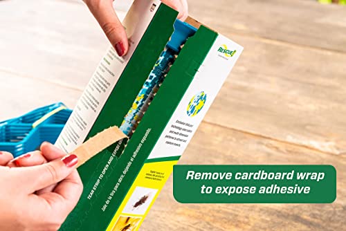 Rescue! Deck & Patio Fly Trapstik - Odorless, Weather Resistant #TOP4