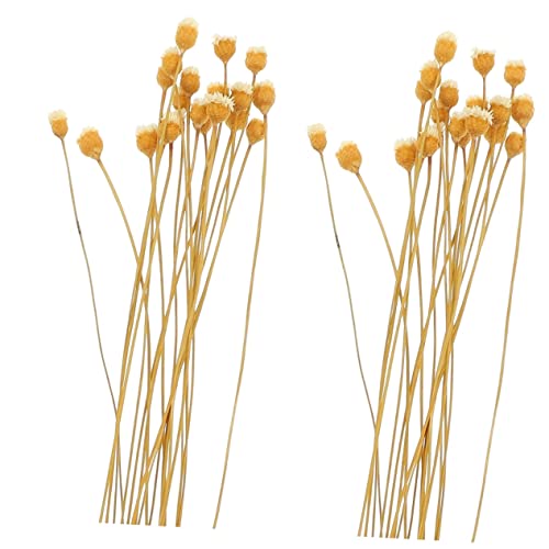 40 piezas varillas de aromaterapia para difusor de aceites miniatura 1