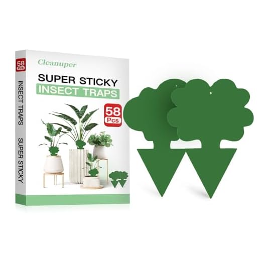58 Pcs Green Flying Insect Traps for Plants,Indoors, Outdoors, Kitchen, Sticky Traps for Fungus Gnat, Fly and Fruit Fly, Flying Insects, Non-Toxic & Odorless, Kid and Pet Safe, Economic Pack (Green)