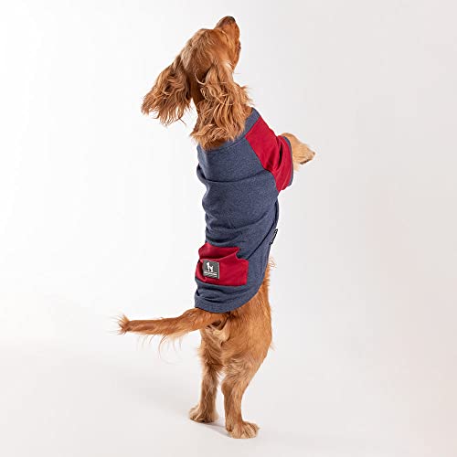 Image of Heads Up For Tails cotton Sweatshirt For Dogs (XS, Blue Melange and Red), 1 count