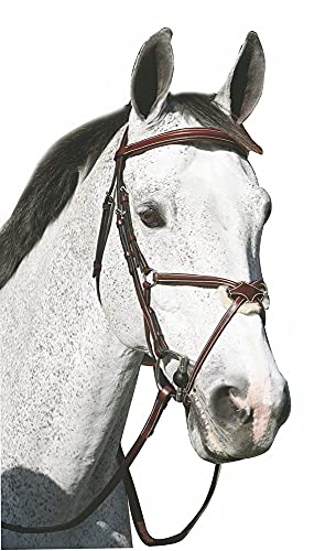 figure eight bridle - Henri de Rivel Pro Mono Crown Raised Figure 8 Bridle - Size:Horse Color:Australi