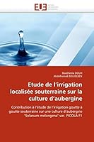 Etude de l''irrigation Localisée Souterraine Sur La Culture d''aubergine 6131557772 Book Cover