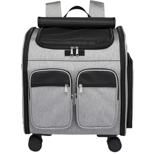 Eyawe L bN L[P[X ybgL[ zC[t  ^yb ܂肽݉\ O\ȃ}bg ȒPɂł K ʋC s (O[)