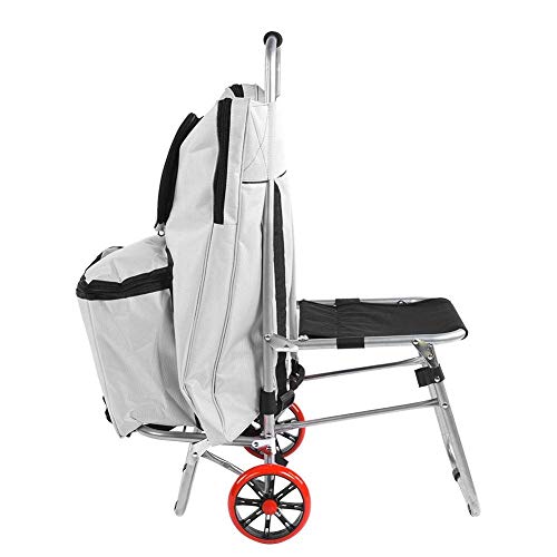 HYY-AA Silla plegable del tablero de dibujo, multifuncional tablero de dibujo portátil plegable Silla Boceto Bolsa Pintura Material de bellas artes de la carretilla