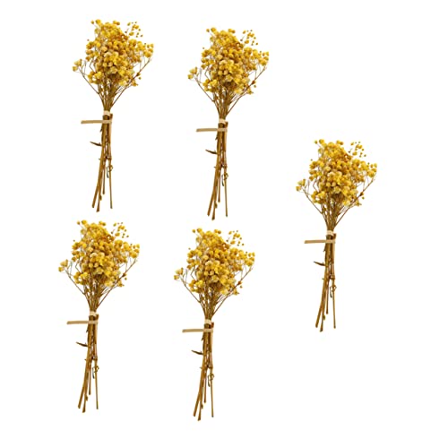 ORFOFE 5pcs Ramo de Flores Secas Gypsophila miniatura 1