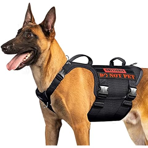 Harnais OneTigris pour Chien Cover