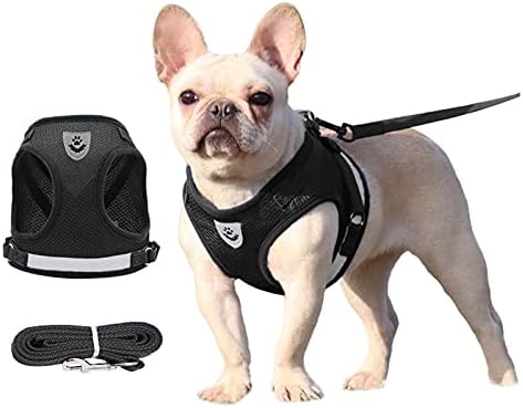 Puppy Harness, Dog Harnesses for Small Dogs, Dog Harness for Medium Dogs No Pull with Dog Leash, Soft Breathable Mesh Vest for Easy Control Walking Quick Release for Puppies Small Medium Large Dogs