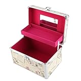 Zerodis コスメティックケース 耐久性の高い大容量美容化粧品収納ボックス for メイクアーティストプロのまつエク施術者向け アルミ合金フレーム素材 1個