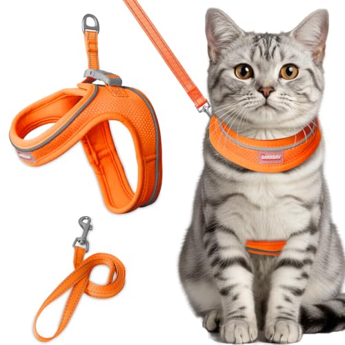 Harnais chat doux et léger avec bandes réfléchissantes orange - 2