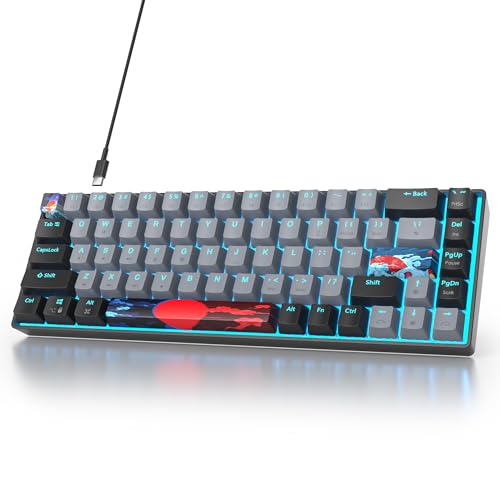 Image of 65 Percent Gaming Keyboard 68 Keys Mechanical Keyboard LED Backlit Ultra Compact Wired Key Board with Red Switch for Windows Laptop Gamer(68Dolch)