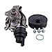 HOLDWELL Water Pump 11518638026 compatible with BMW F22 230i F23 230i F30 330i F31 330i 430i F33 430i F36 430i Engine B46 2.0L B48 2.0L