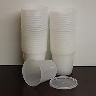 Extreme Freeze (10, 24 OUNCE)