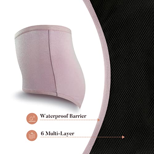 Aircute Washable Absorbent Urine Incontinence Underwear For Women, High Waist Panties For Bladder Leakage Protection 60Ml(Dusk, Large) #TOP3
