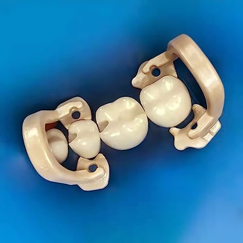 Rwbatt RD-09 Dental Rubber Dam Clamps Resin Rubber Barrier Clip Dental Endodental Rubber Dam Holder Autoclavable Dental Dentist Tools thumb #5