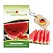 Produktbild Wassermelonen Sugar Baby Samen - Citrullus lanatus - Wassermelonensamen - Obstsamen - Saatgut für 10 Pflanzen