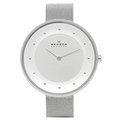 [スカーゲン] 時計 SKAGEN SKW2140 ANITA アニタ スチールメッシュ 30MM レディース腕時計ウォッチ シルバー [並行輸入品]